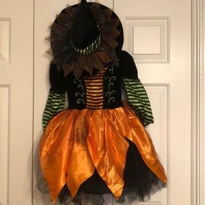 Classic witch costume. Bought new Cracker Barrel